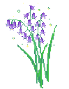 Эмодзи purple-flower-plant